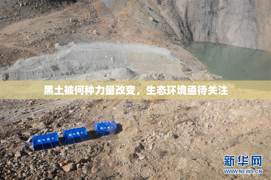 黑土被何种力量改变，生态环境亟待关注