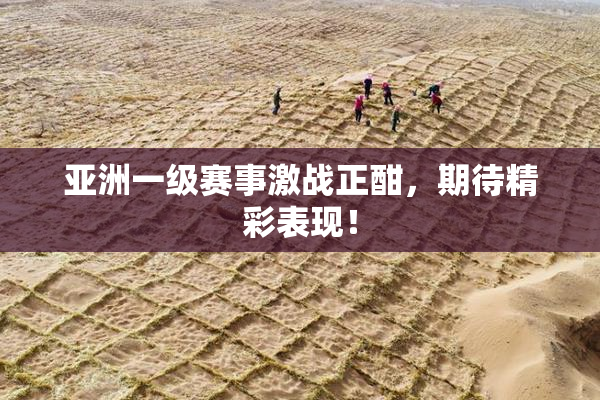 亚洲一级赛事激战正酣，期待精彩表现！