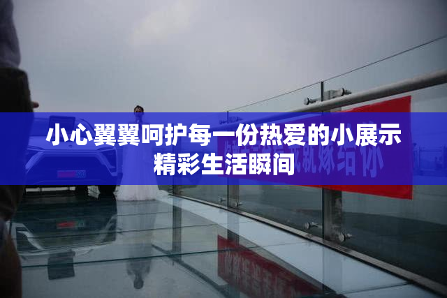 小心翼翼呵护每一份热爱的小展示精彩生活瞬间