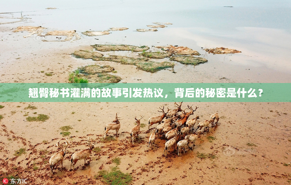 翘臀秘书灌满的故事引发热议，背后的秘密是什么？