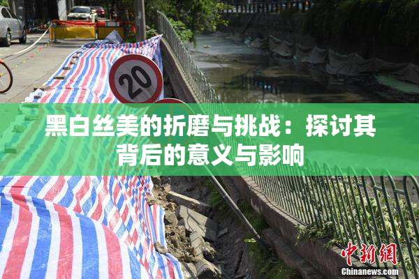 黑白丝美的折磨与挑战：探讨其背后的意义与影响