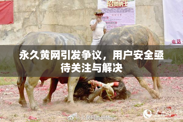 永久黄网引发争议，用户安全亟待关注与解决