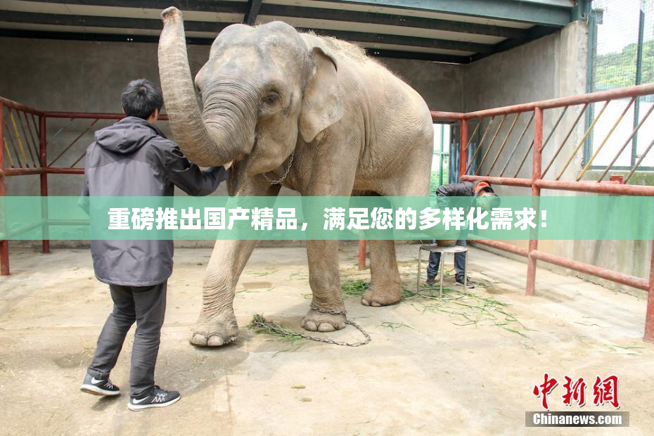 重磅推出国产精品，满足您的多样化需求！