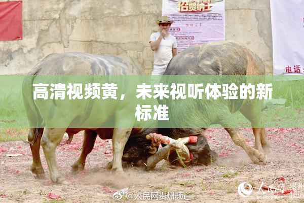 高清视频黄，未来视听体验的新标准