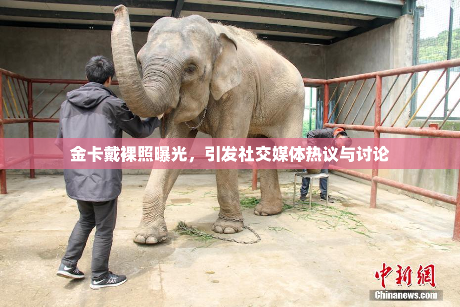 金卡戴裸照曝光，引发社交媒体热议与讨论