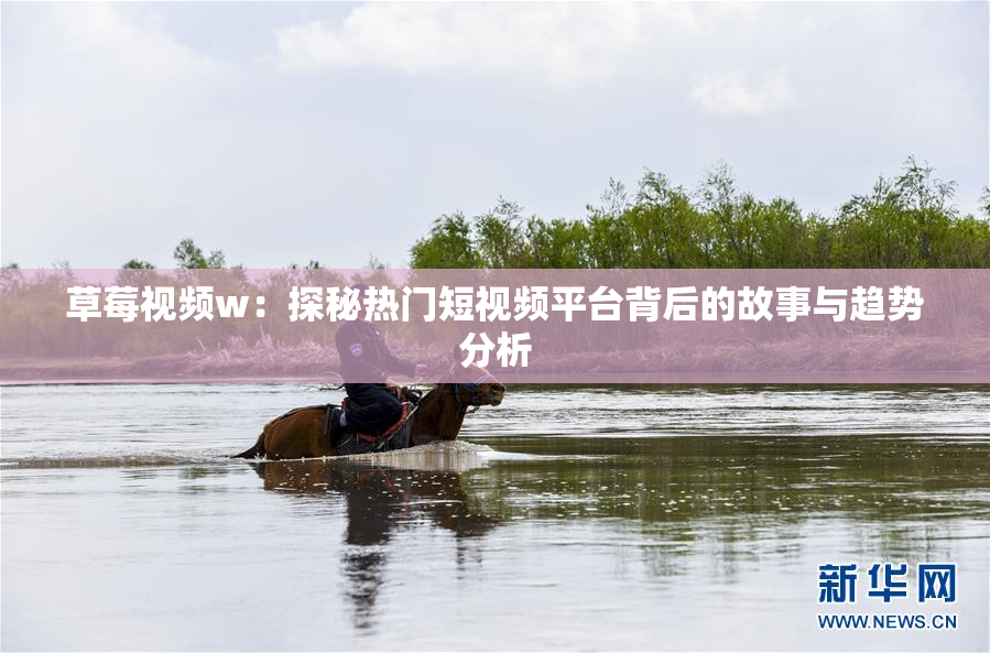 草莓视频w：探秘热门短视频平台背后的故事与趋势分析
