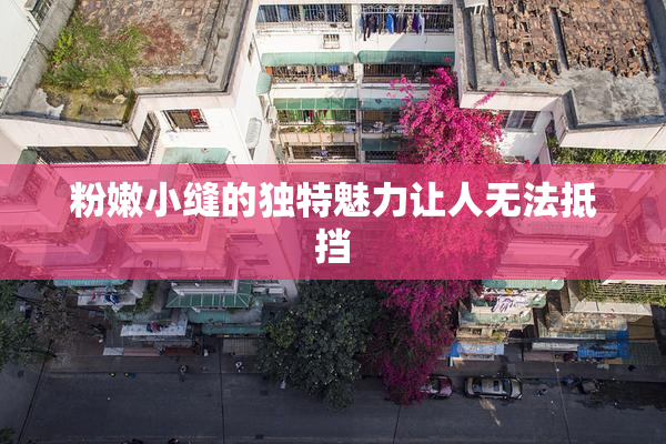 粉嫩小缝的独特魅力让人无法抵挡
