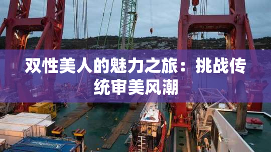 双性美人的魅力之旅：挑战传统审美风潮
