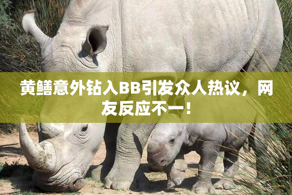 黄鳝意外钻入BB引发众人热议，网友反应不一！