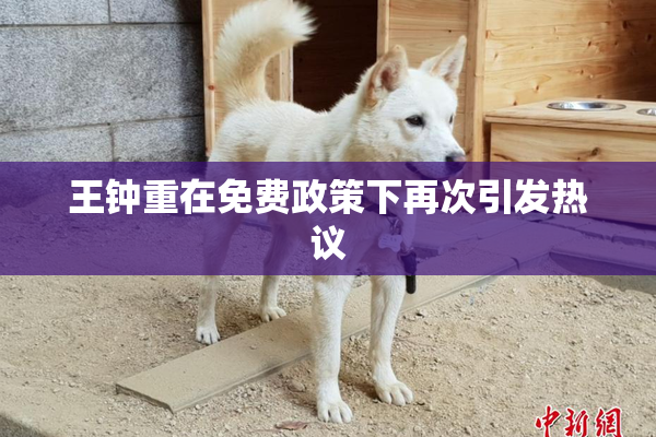 王钟重在免费政策下再次引发热议