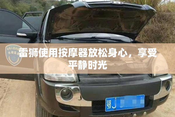 雷狮使用按摩器放松身心，享受平静时光