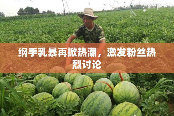 纲手乳暴再掀热潮，激发粉丝热烈讨论