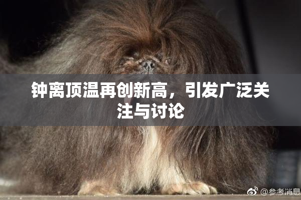 钟离顶温再创新高，引发广泛关注与讨论