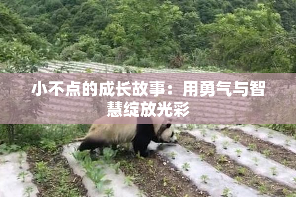 小不点的成长故事：用勇气与智慧绽放光彩