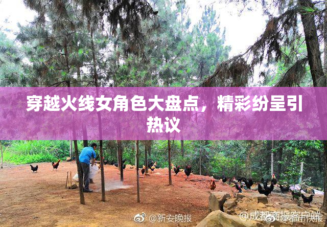 穿越火线女角色大盘点，精彩纷呈引热议