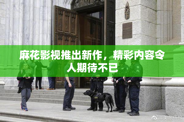 麻花影视推出新作，精彩内容令人期待不已