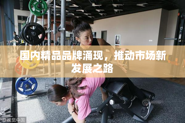 国内精品品牌涌现，推动市场新发展之路