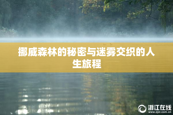 挪威森林的秘密与迷雾交织的人生旅程