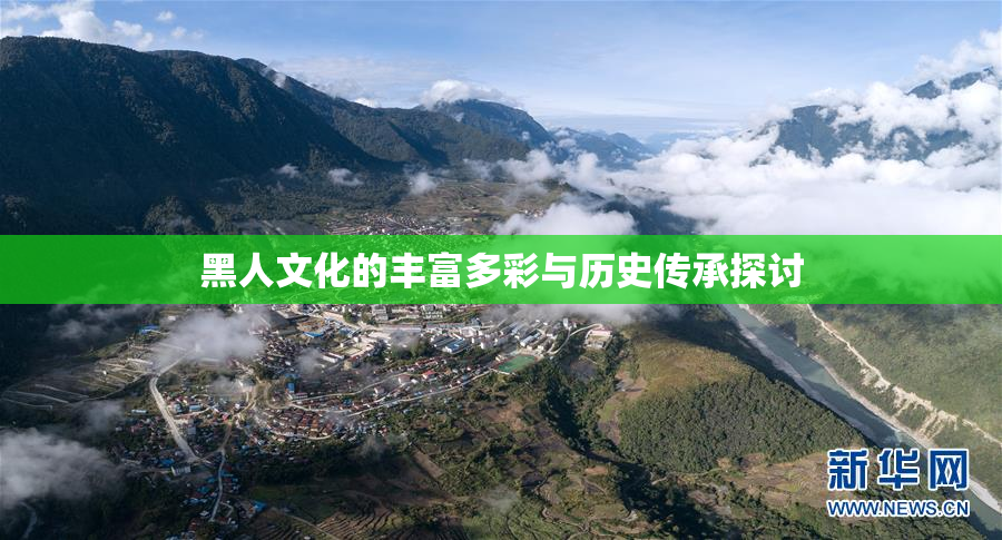 黑人文化的丰富多彩与历史传承探讨