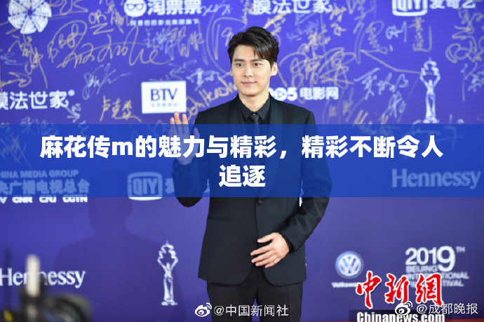 麻花传m的魅力与精彩，精彩不断令人追逐