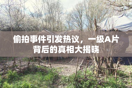 偷拍事件引发热议，一级A片背后的真相大揭晓