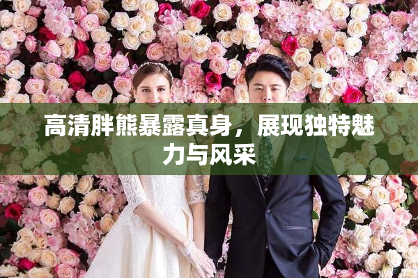 高清胖熊暴露真身，展现独特魅力与风采