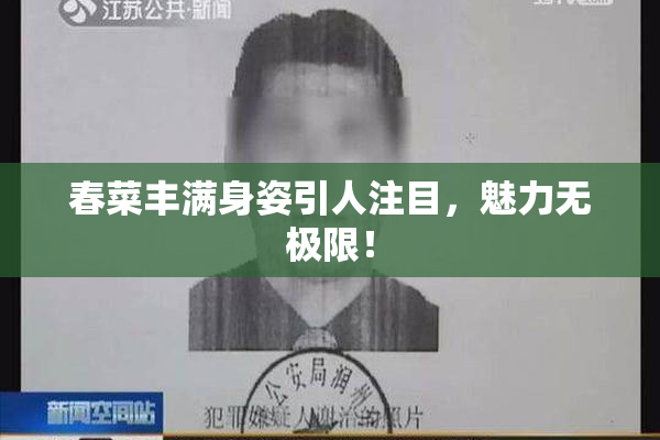 春菜丰满身姿引人注目，魅力无极限！