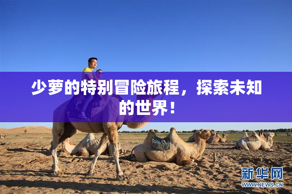 少萝的特别冒险旅程，探索未知的世界！