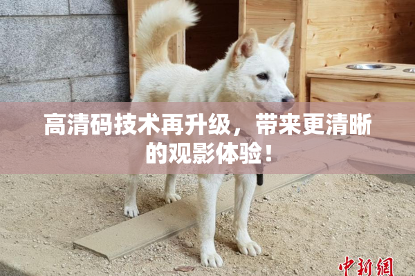 高清码技术再升级，带来更清晰的观影体验！