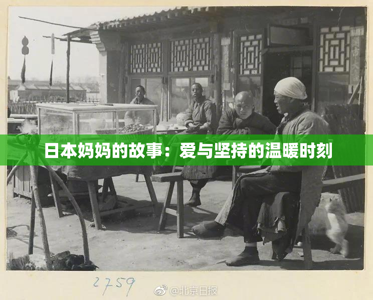 日本妈妈的故事：爱与坚持的温暖时刻