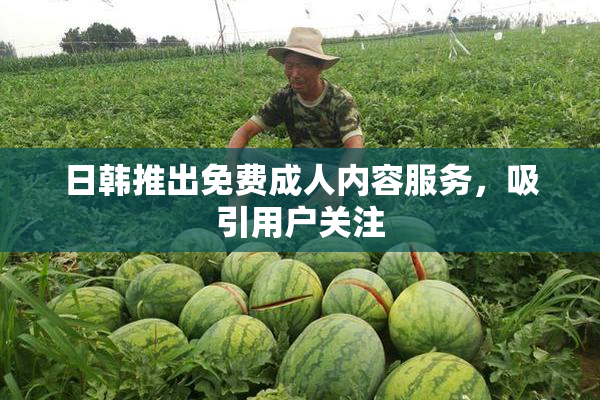 日韩推出免费成人内容服务，吸引用户关注