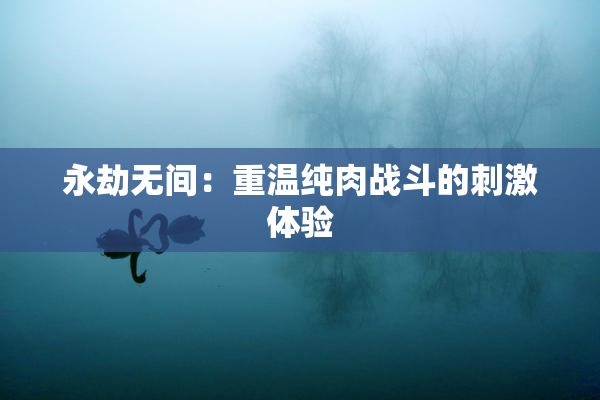 永劫无间：重温纯肉战斗的刺激体验
