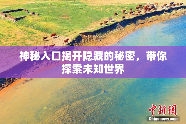 神秘入口揭开隐藏的秘密，带你探索未知世界