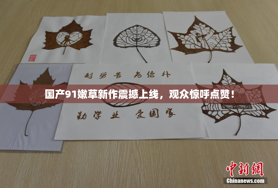 国产91嫩草新作震撼上线，观众惊呼点赞！