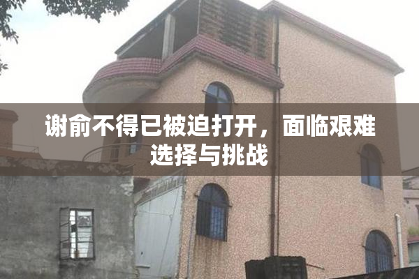 谢俞不得已被迫打开，面临艰难选择与挑战