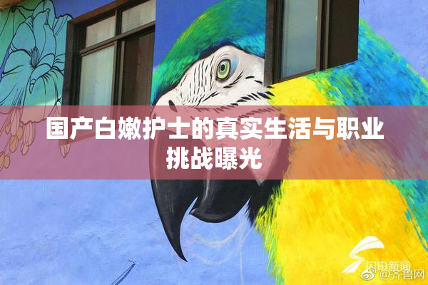国产白嫩护士的真实生活与职业挑战曝光