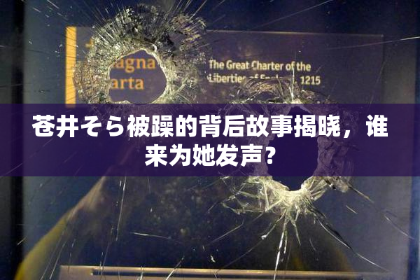 苍井そら被躁的背后故事揭晓，谁来为她发声？