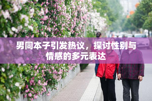 男同本子引发热议，探讨性别与情感的多元表达
