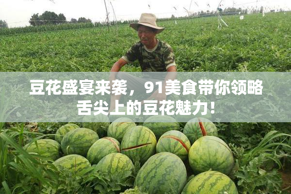 豆花盛宴来袭，91美食带你领略舌尖上的豆花魅力！