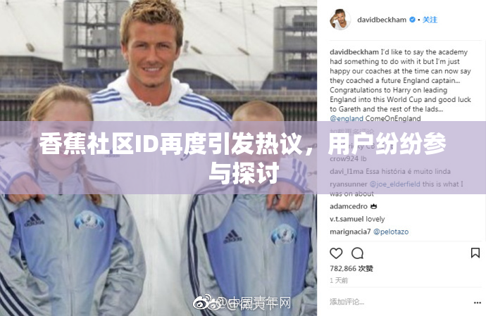 香蕉社区ID再度引发热议，用户纷纷参与探讨