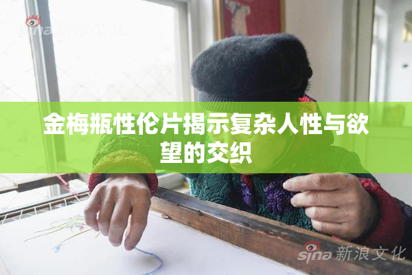 金梅瓶性伦片揭示复杂人性与欲望的交织