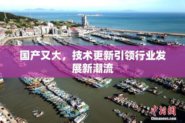 国产又大，技术更新引领行业发展新潮流