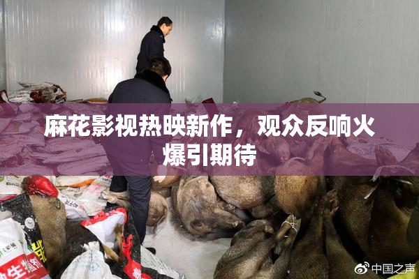 麻花影视热映新作，观众反响火爆引期待