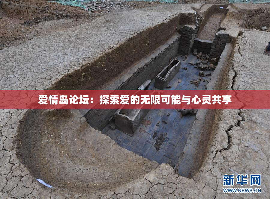 爱情岛论坛：探索爱的无限可能与心灵共享