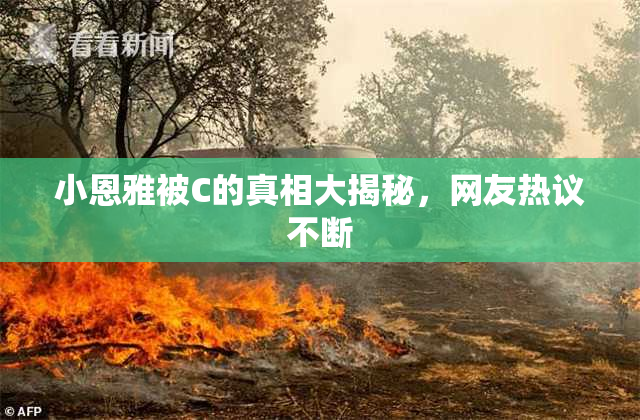 小恩雅被C的真相大揭秘，网友热议不断