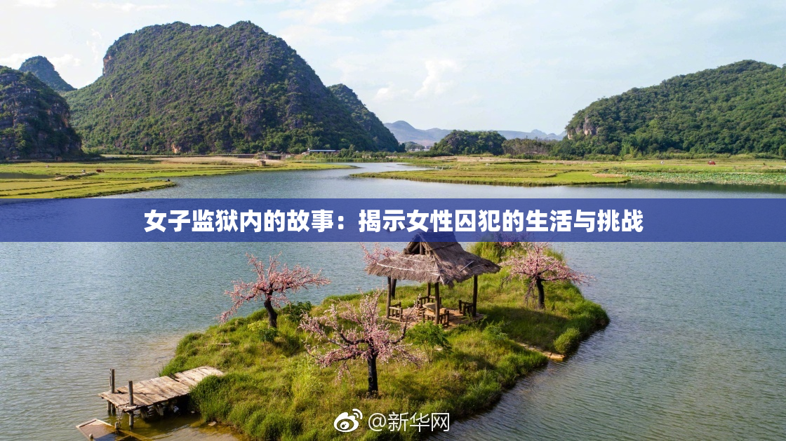 女子监狱内的故事：揭示女性囚犯的生活与挑战