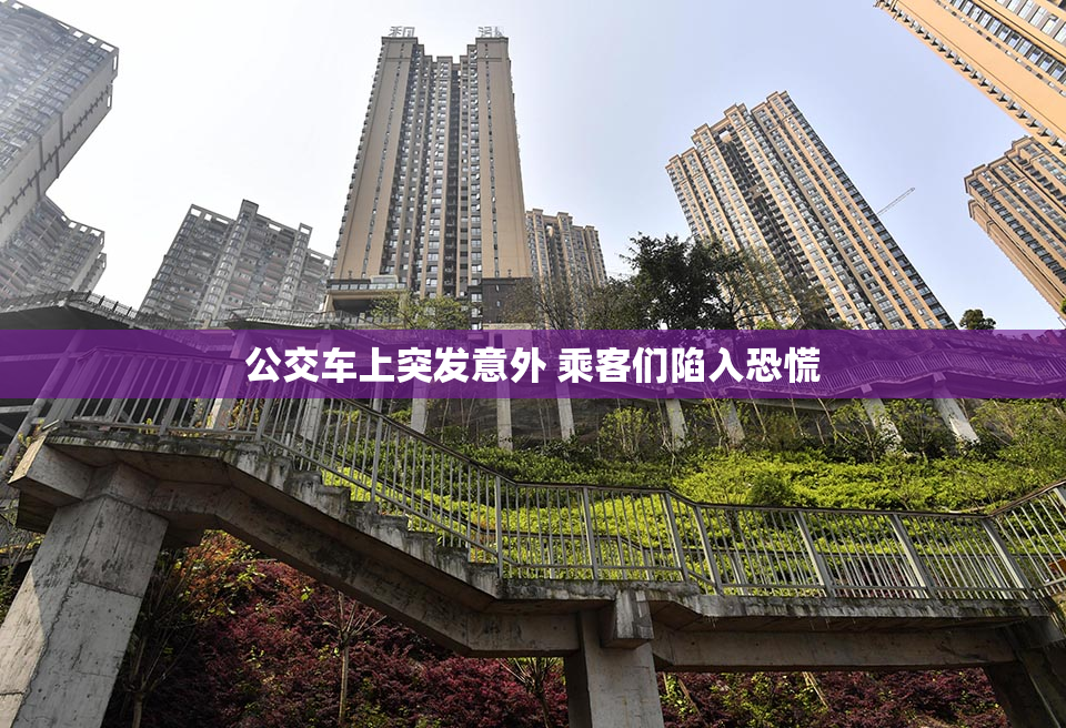 公交车上突发意外 乘客们陷入恐慌