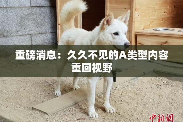 重磅消息：久久不见的A类型内容重回视野