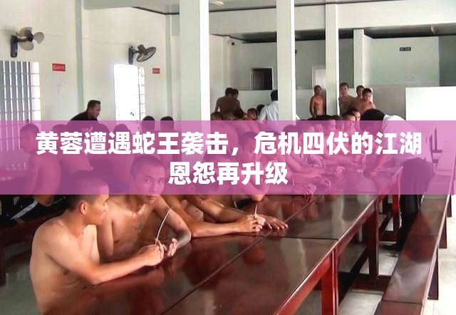 黄蓉遭遇蛇王袭击，危机四伏的江湖恩怨再升级
