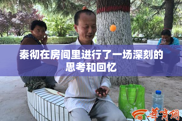 秦彻在房间里进行了一场深刻的思考和回忆